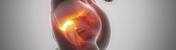 Aliviando el dolor de cadera: fisioterapia para la sacroileitis Aliviando el dolor de cadera: fisioterapia para la sacroileitis