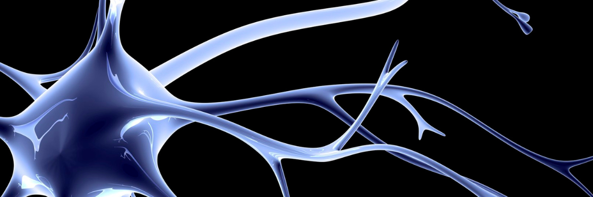 Fisioterapia en niños con parálisis cerebral: Mejorando la calidad de vida