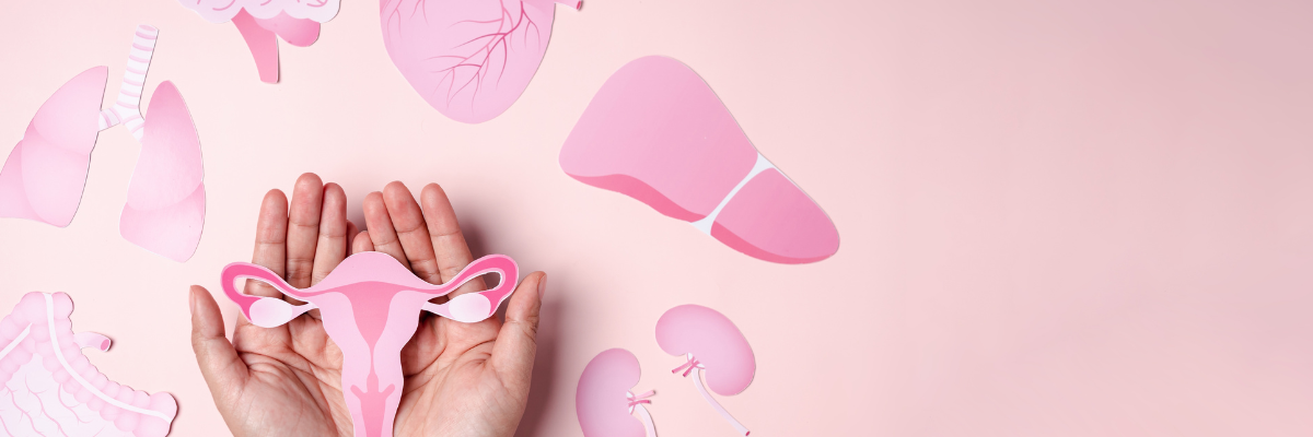 "Disfunción sexual y suelo pélvico: El papel de la fisioterapia en tu bienestar"