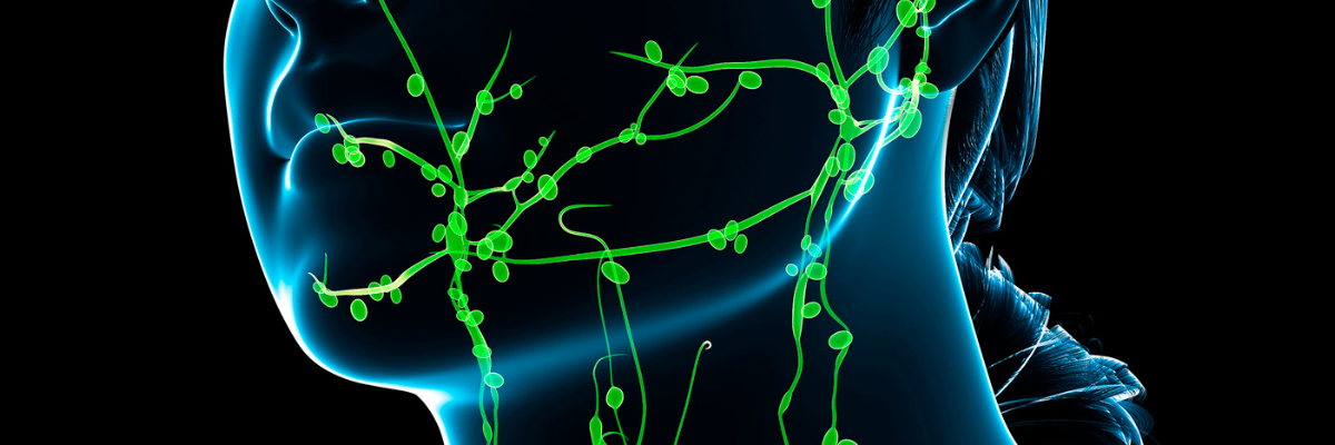 Drenaje linfático y sistema inmunológico: Refuerza tus defensas de manera natural
