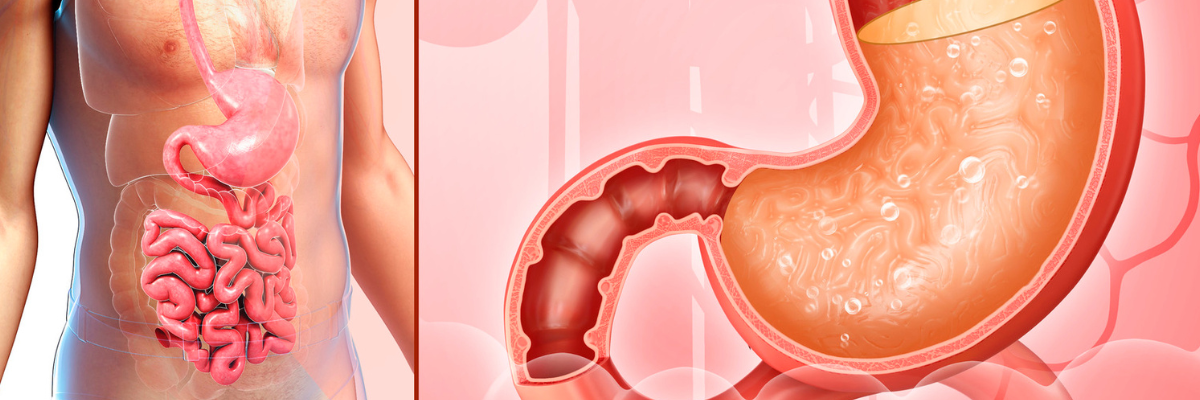 "Trastornos digestivos y osteopatía: Una solución natural para mejorar tu bienestar"