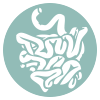 osteopatía visceral Madrid 
